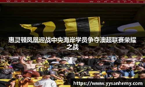 333体育惠灵顿凤凰迎战中央海岸学员争夺澳超联赛荣耀之战