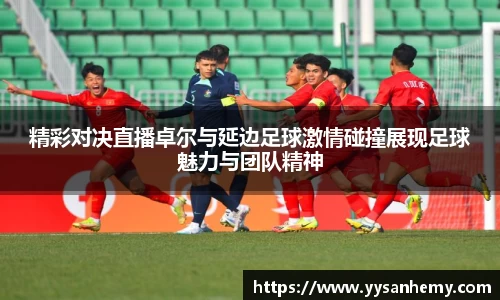 333体育精彩对决直播卓尔与延边足球激情碰撞展现足球魅力与团队精神